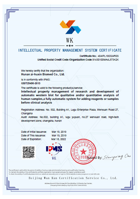Intellectual Property Management System Certification (English Certificate)